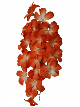 Frangipani Blütenstrauß orange - limitierte Edition - Sonderpreis